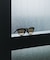 decor『デコール』　EYEWEAR BOSTON SUN