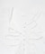 Picchi nia 　ARCHITECT WHITE