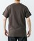 Cotton Expressions　TESLA T-SHIRTS