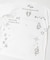 Teya　TATOO T-SHIRTS