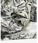 REEF　FLOWER LEAF17 SHORTS