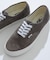 VANS　Authentic