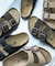 BIRKENSTOCK　EXCLUSIVE ARIZONA WB(REG)
