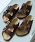 BIRKENSTOCK　EXCLUSIVE ARIZONA WB(REG)