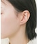 ステンレススパークルプチピアス