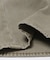LEVI’S　EXCLUSIVE 555 RELAXED STRAGHT