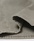 LEVI’S　EXCLUSIVE 555 RELAXED STRAGHT