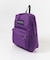 JanSport　SUPERBREAK PLUS 26L(KIDS)