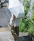 『軽量／晴雨兼用』TINY GARDEN PRODUCTS　ウルトラライトワンタッチアンブレラ