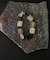 SMELLY so’　square horn onyx bracelet