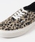 VANS　Authentic