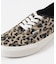 VANS　Authentic