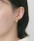 ステンレスプックリラインピアス