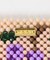 TOOS　FRUITS CARD CASE