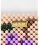 TOOS　FRUITS CARD CASE