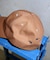 LY　SIGN CAP