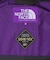 THE NORTH FACE PURPLE LABEL　GTX FIELD HOODED COAT