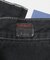 BIG MAC　DENIM PAINTER PANTS