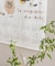 fog linen work　2027 リネン カレンダー ねこの仲間たち