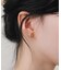 ステンレスフレームビジューピアス