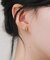 ステンレスフレームビジューピアス