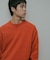 Lamb Wool Crew-Neck Knit