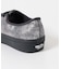 VANS　AUTHENTIC