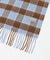 CHECK CASHMERE SCARF
