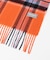 CHECK CASHMERE SCARF
