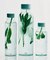 HAY　Miz Water Bottle 0.72L