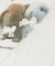 Fluffy friendsTシャツ