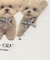 Fluffy friendsTシャツ