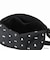 NYLON MESSENGER BAG BACK POCKET W/ DIVIDER MAGNET / MICKEY / 26