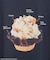 COLDSTONE/ボックスTシャツ