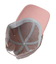 ■FRUIT OF THE LOOM 2トーンキャップ