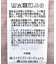 SET2点シアーシャツ+ビスチェ
