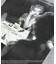 ■Marilyn Monroe メイクアップptスウェット