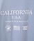 BEVERLY HILLS POLO CLUB 別注バックプリントTシャツ