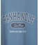 PANHANDLE Tシャツワンピース