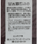 ラスターシアーシャツ