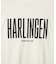 バックロゴルーズTシャツ