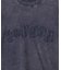 ロゴパッチピグメントT
