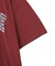 カレッジロゴグラフィックTシャツ