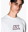 【A|X アルマーニ エクスチェンジ】フロックロゴ 半袖クルーネックTシャツ/REGULAR