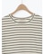 【接触冷感】裾レースボーダーTシャツ