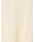 レーシーニットプルオーバー（セットアップ可《2025spring catalog item》