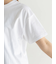 デザインロゴプリントTシャツ《2025summer catalog item》