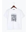 アソートネコフォトスタンダードTシャツ