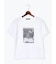 アソートネコフォトスタンダードTシャツ