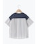 ☆ストライプ切替Tシャツ